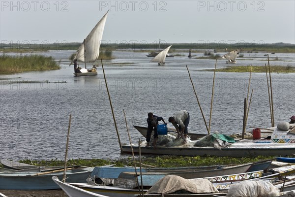 Pêcheurs du delta du Nil