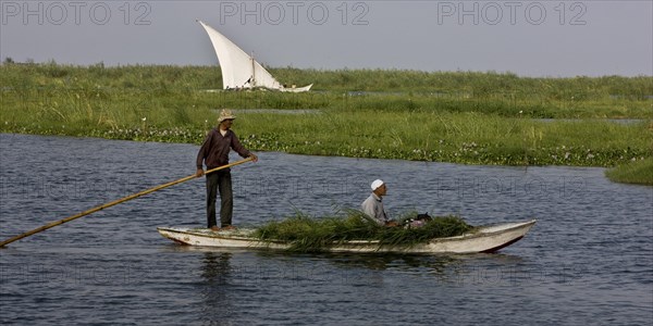 Transport des récoltes agricoles sur le delta du Nil