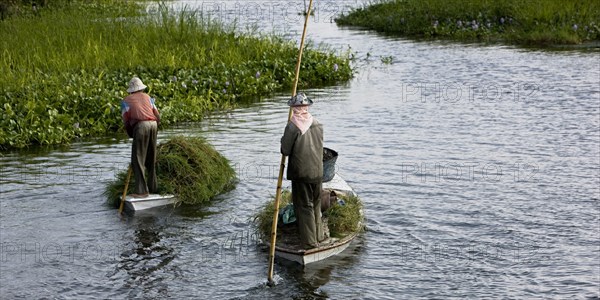 Transport des récoltes agricoles sur le delta du Nil