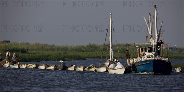 Pêcheurs du delta du Nil