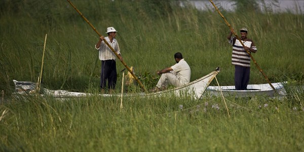 Pêcheurs du delta du Nil