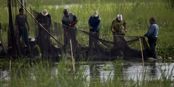 Pêcheurs du delta du Nil