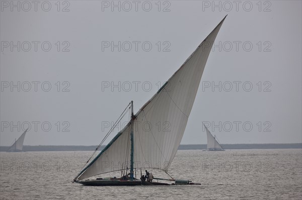 Felouques sur le delta du Nil