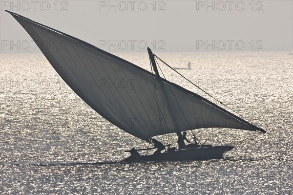 Felouques sur le delta du Nil