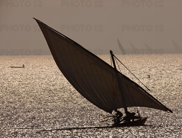 Felouques sur le delta du Nil