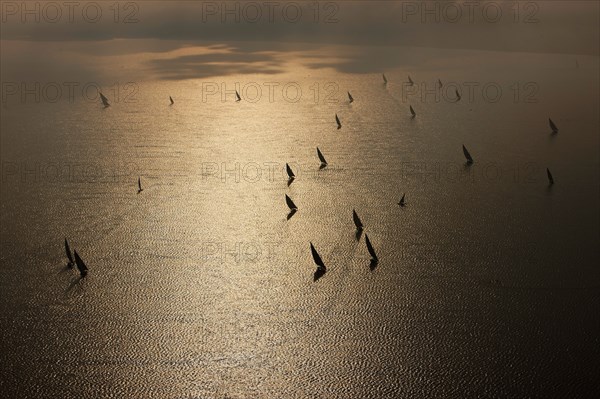 Felouques sur le delta du Nil