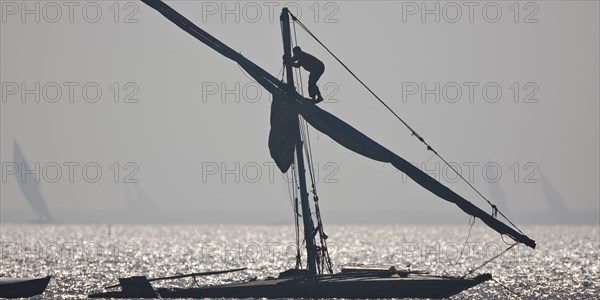 Felouques sur le delta du Nil