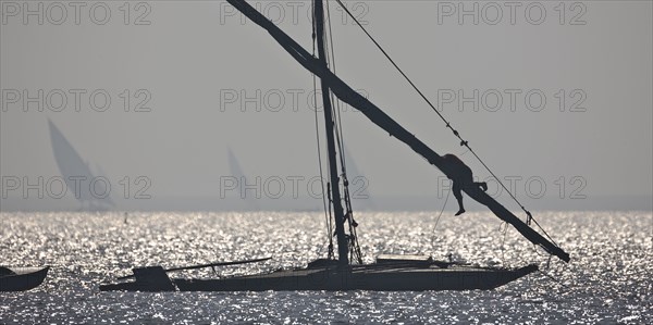 Felouques sur le delta du Nil