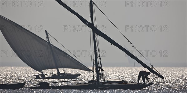 Felouques sur le delta du Nil