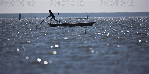 Pêcheurs du delta du Nil