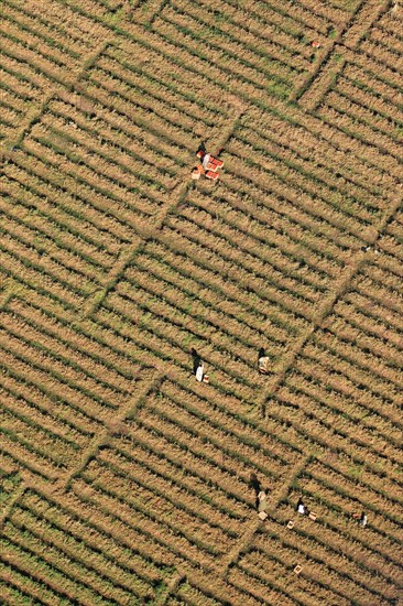 Vue aérienne du Nil entre Louxor et Assouan