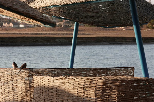 Hôtel Sheraton à el-Gouna (Egypte)