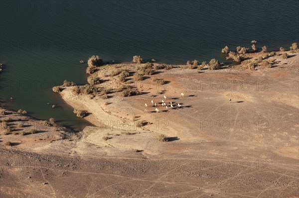 Lac Nasser, vue aérienne