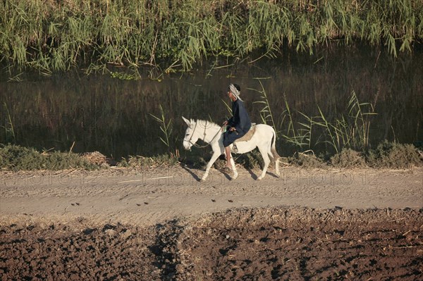 Scène de la vie quotidienne aux environs de Louxor