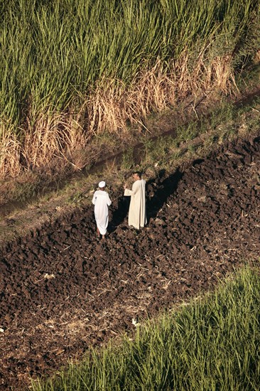 Scène de la vie quotidienne aux environs de Louxor