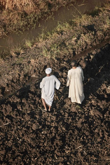 Scène de la vie quotidienne aux environs de Louxor