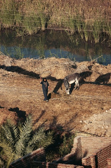 Scène de la vie quotidienne aux environs de Louxor