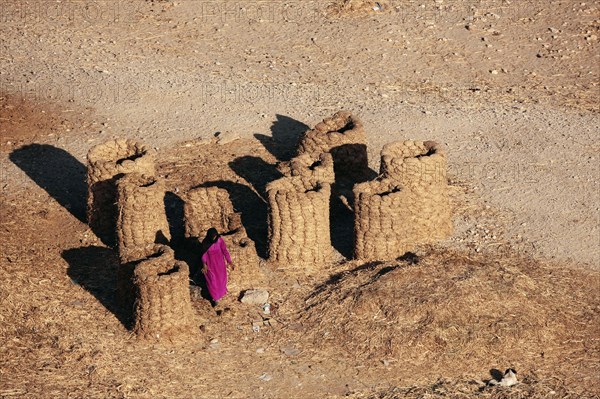 Scène de la vie quotidienne aux environs de Louxor