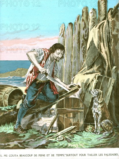 Les aventures de Robinson Crusoé : Robinson s'installe dans l'île