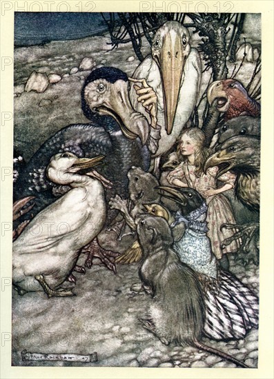 Alice au pays des merveilles, illustration d'Arthur Rackham