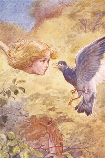Alice in Wonderland, illustration by A.E. Jackson