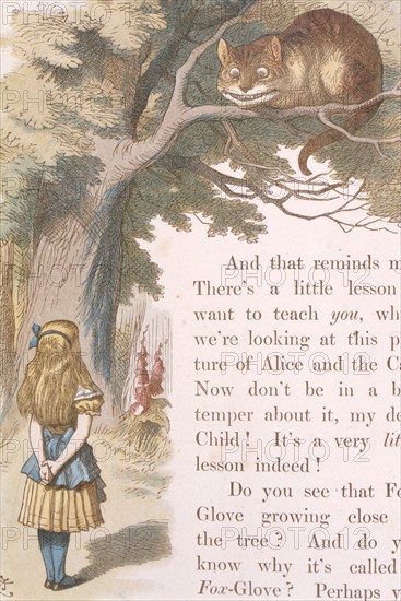 Alice in Wonderland, illustration by Sir John Tenniel