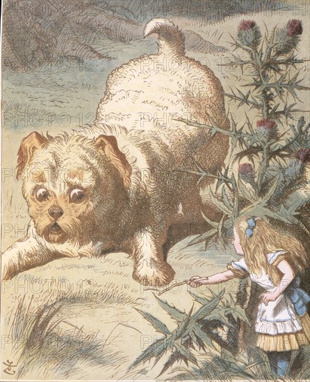 Alice au pays des merveilles, illustration de Sir John Tenniel