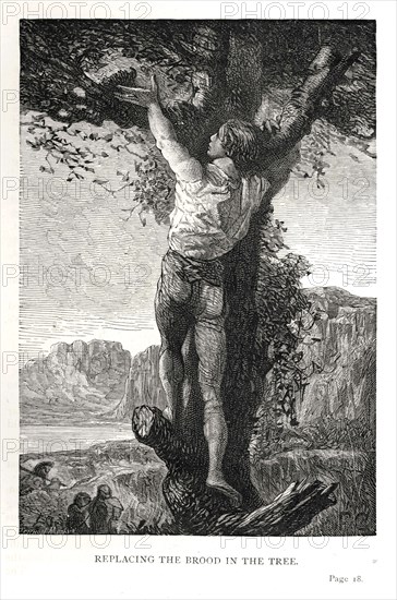 Illustration de "Les Travailleurs de la Mer", de Victor Hugo