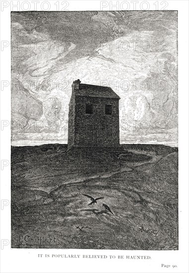 Illustration of "Toilers of the Sea", by Victor Hugo