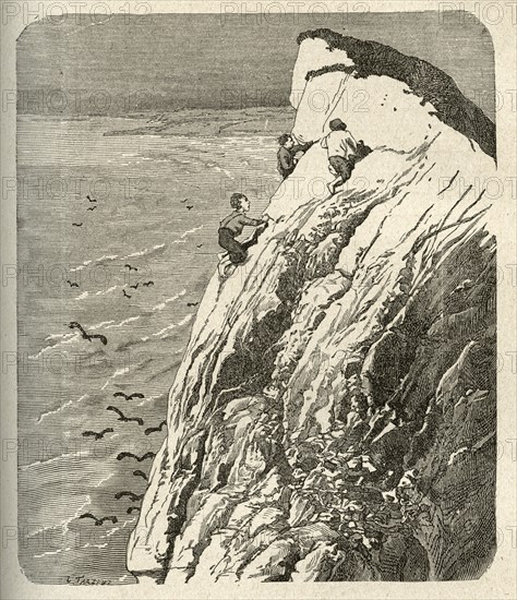 Illustration of "Toilers of the Sea", by Victor Hugo