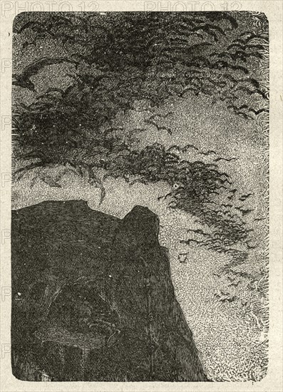 Illustration of "Toilers of the Sea", by Victor Hugo