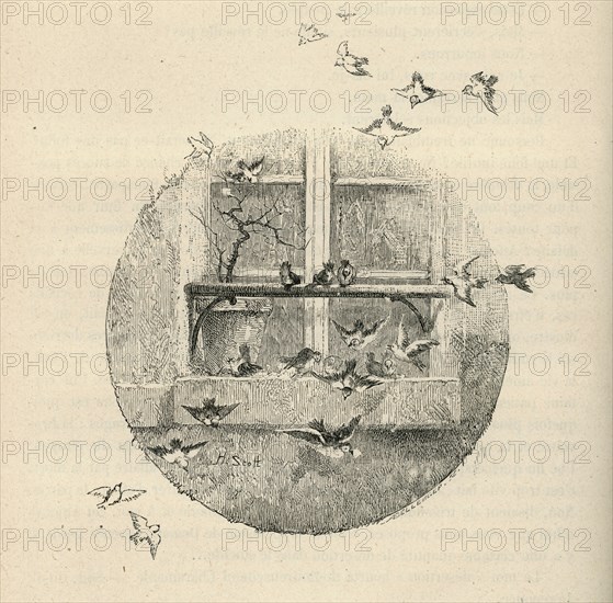 Illustration de "Histoire d'un crime", de Victor Hugo