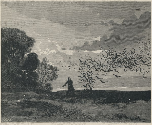 Illustration de "Les Châtiments", de Victor Hugo