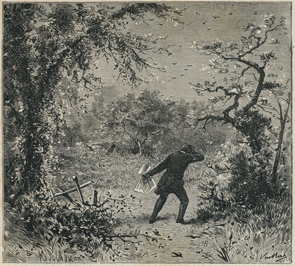 Illustration of "Les Châtiments", by Victor Hugo