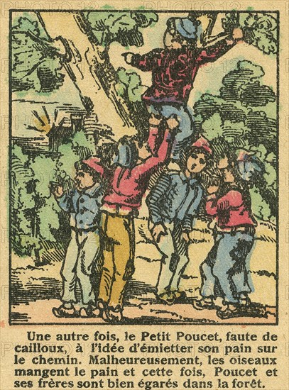 Histoire du Petit Poucet