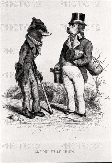 The Wolf and the Dog