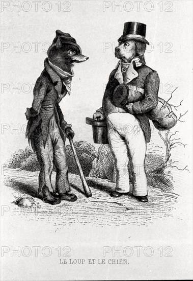 Le Loup et le Chien