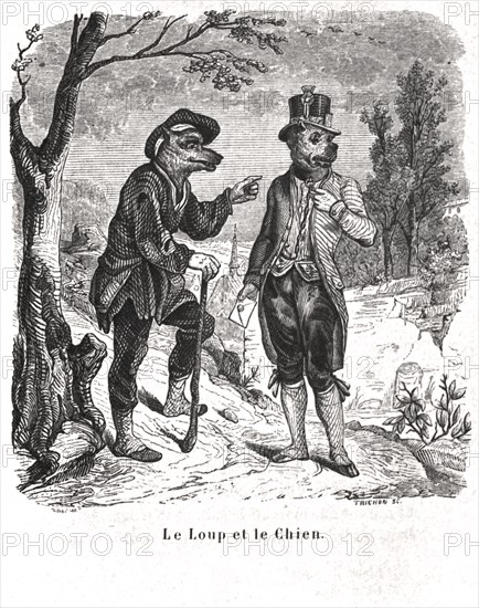 Le Loup et le Chien