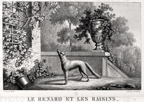 Le Renard et les raisins