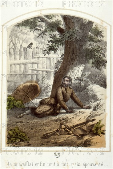 Les aventures de Robinson Crusoë, 1876