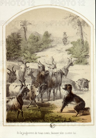 Les aventures de Robinson Crusoë, 1876