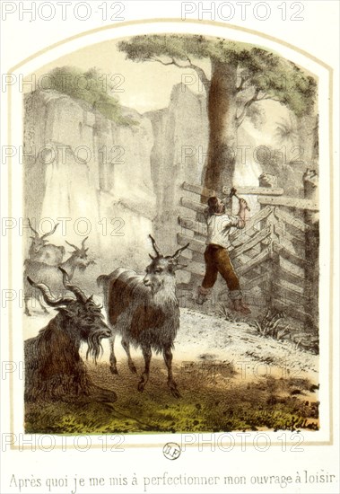 Les aventures de Robinson Crusoë, 1876