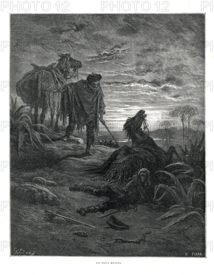 Fable "Les Deux Mulets"