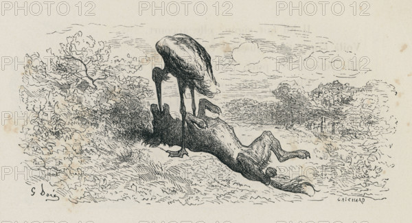 Le Loup et la Cigogne