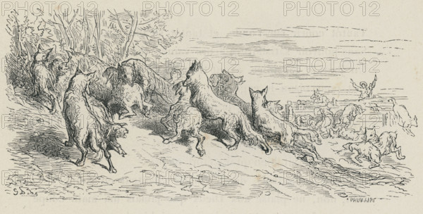 Fable "Les Loups et les brebis"