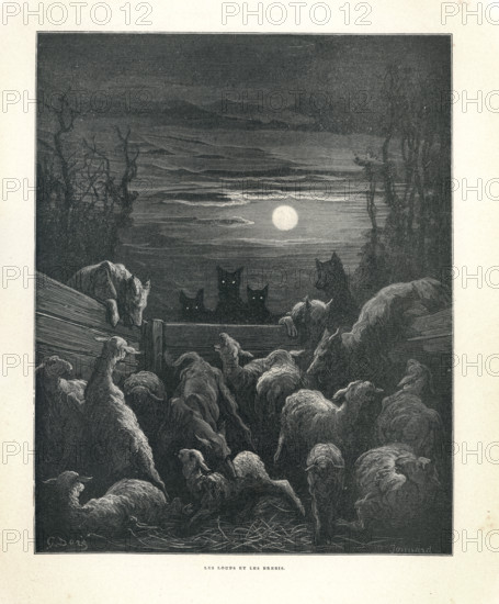 Fable "Les Loups et les brebis"