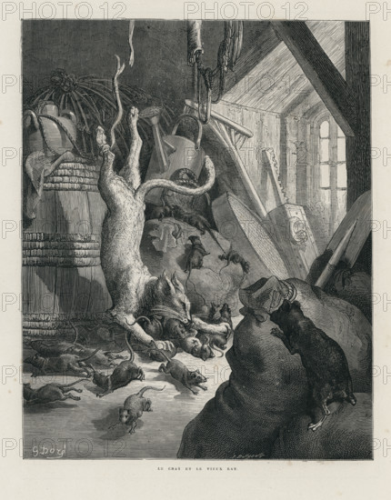 Fable "Le Chat et le vieux rat"