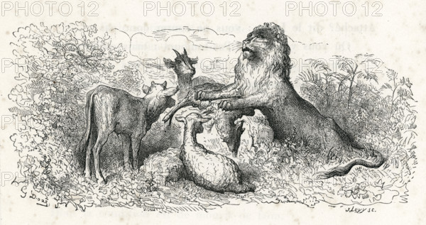 Fable "La Génisse, la chèvre et la brebis en société avec le lion"