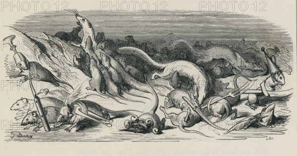 Fable "Le Combat des rats et des belettes"