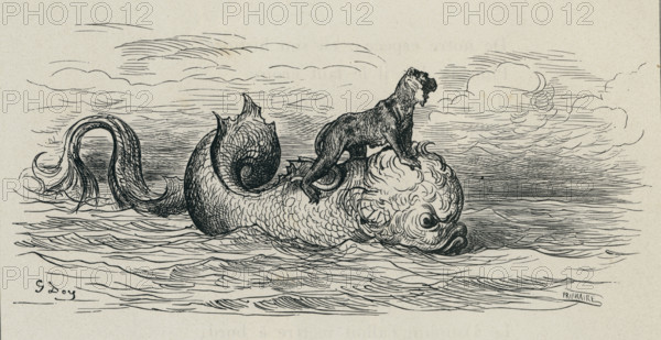 Fable "Le Singe et le Dauphin"
